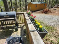 Gnome Hill Cottage - A Rustic Pet-Friendly Cottage in the Woods