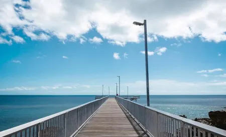 Zen Nest Cozy Lawn Minimalist