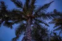 Turtle Cove Lodge and Yoga Shala - parking