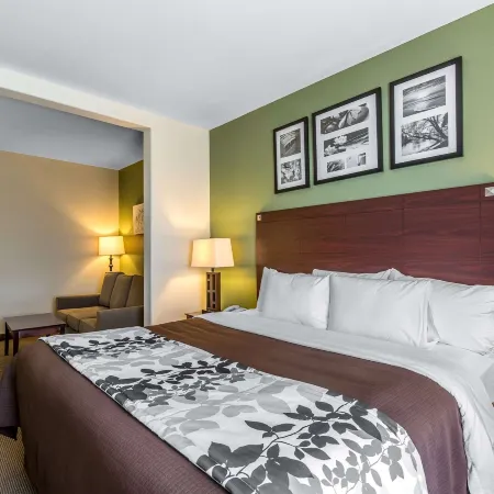 Sleep Inn & Suites Bush InterContinental - IAH East