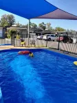 Silver Oaks Motel - piscina