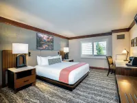 Tenaya Lodge Hotels in Wawona