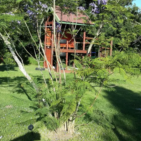 Teniqua Treetops