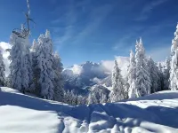 Apartment in Hippach Near Mayrhofen Ski Area - Wifi