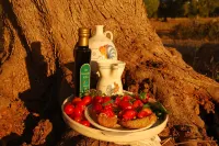 Terra di Leuca Hotels in Presicce