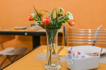 B&B Villa Sophie Отели рядом с достопримечательностью «Duomo di San Rufino»