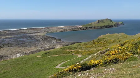 Myrtle Cottage Vacation Rooms Отели в г. Свонси