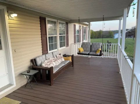 The Yellow Dragonfly