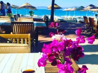 Toloman Hotel Bitez Beach Hotels in Bitez