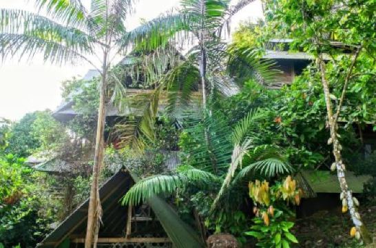 Family Room With Private Bathroom Ayahuasca Photo