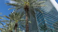 Roami at Brickell Arch | Pool | 3 Bedroom Hotels in Key Biscayne