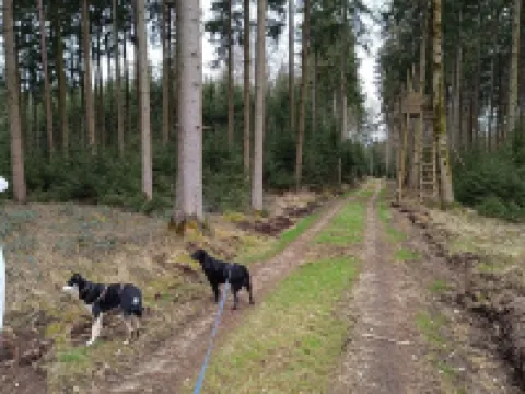 Vacation apartment between Lech and Danube-"Dorfliebe Reicherstein" 艾夏赫-費里德貝格縣酒店