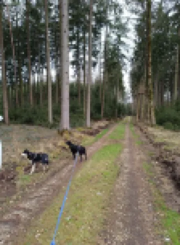 Vacation apartment between Lech and Danube-"Dorfliebe Reicherstein"