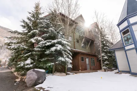 Elegant Living Space and Cozy Fireplace - Charming Alpine Retreat