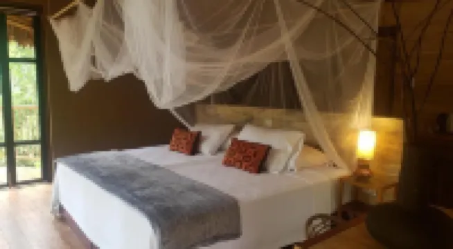 守護者森林小屋