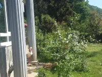 Cosy Park Apartment Hotels in Yomra