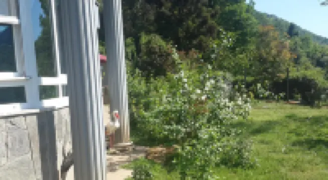 Cosy Park Apartment Hotels in 