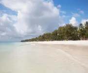 F-Zeen Boutique Hotel Zanzibar - Romantic