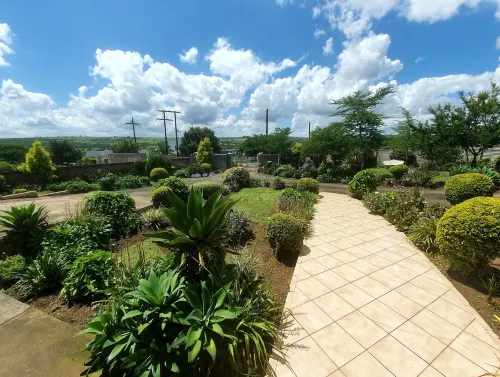 Ekhaya Lodge - Bed and Breakfasts
