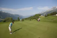 Eden Hotel Und Restaurant Hotels in Surselva District