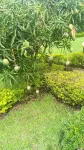C & G Heritage Cottage فنادق في Kijungu Village