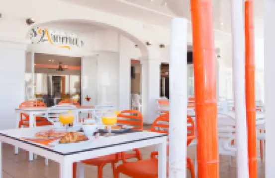 Typic Oasis Sa Tanca