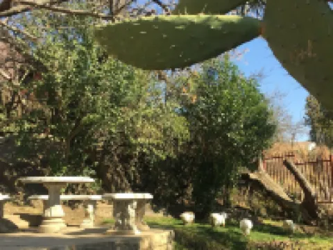 ノーブル ハーツ ベッド アンド ブレックファスト マセルのホテル