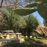 Noble Hearts Bed & Breakfast Hotels near Thaba Bosiu
