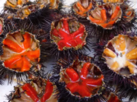 La Terrazza Sul Mare Hotéis em Otranto