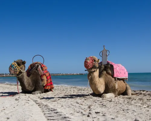 Seabel Aladin Djerba Loisirs et activités Photos