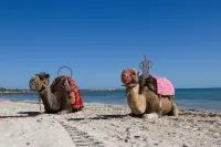 Seabel Aladin Djerba - Sea View