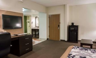 Sleep Inn & Suites Buffalo Airport