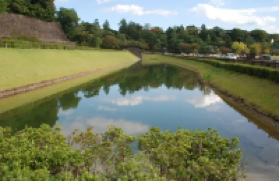 城鎮41膠囊旅館