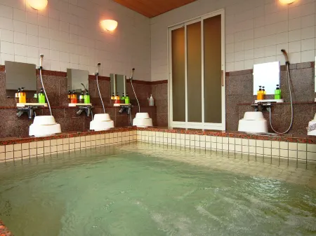 Tourist Minowa Отели рядом с достопримечательностью «Nagawa Village History Museum»