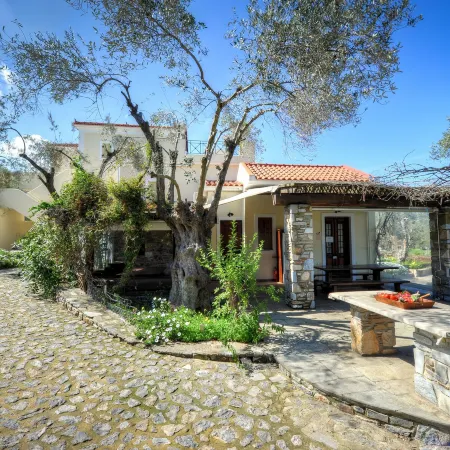 Gera's Olive Grove - Elaionas Lesvou