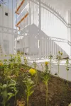 Belsun Boutique Hotel