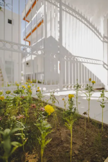 Belsun Boutique Hotel