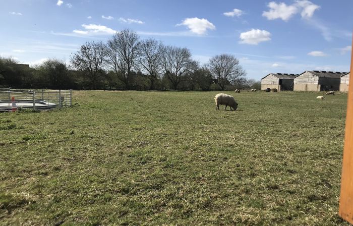 Bridge Farm Holiday Cottages