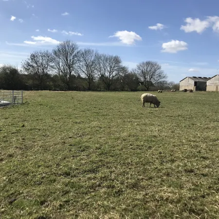 Bridge Farm Holiday Cottages