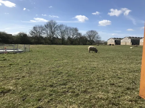 Bridge Farm Holiday Cottages