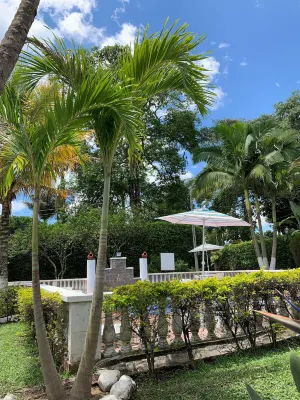 Finca Hotel Chalet Santa Ines - 2-Star