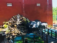 La Casa Safari Cottages