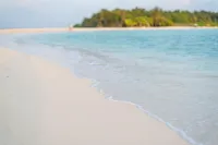 Turtle Maldives - Your Gateway to the Beach & Marine Adventures Await! - Beach