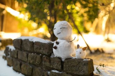 その他 南阿蘇ルナ天文台 オーベルジュ 森のアトリエの写真