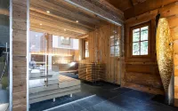 Wellness Hotel Alpenhof - spa