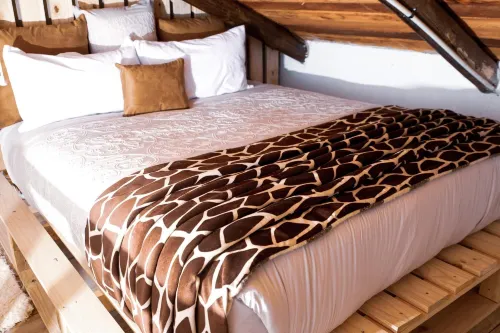 Rustic Luxury Farm Cabin Located in Hwedza - 2031 - WLAN