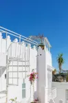 Absinthe Tangier