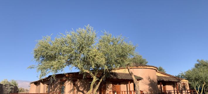 Sami Atacama Hotels in El Loa