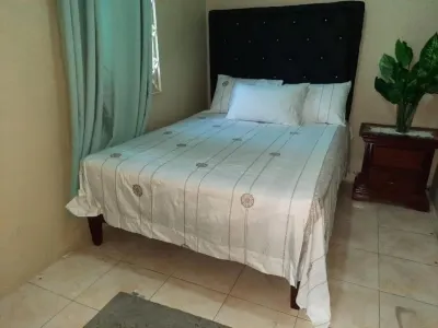 Doug Manor Flat1 Hotels near Wynter's Park