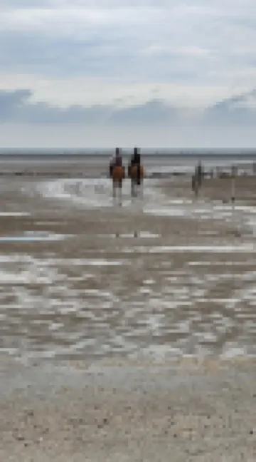 Chambre d'hôtes le lac